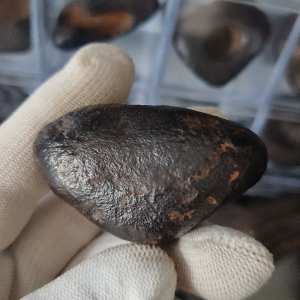 Meteorite /Free Shipping/#25113007