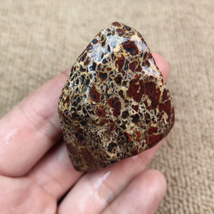 Natural Xinjiang Tianbao Raw Stone Specimen - 6g Unique Phenocryst Pattern #260114